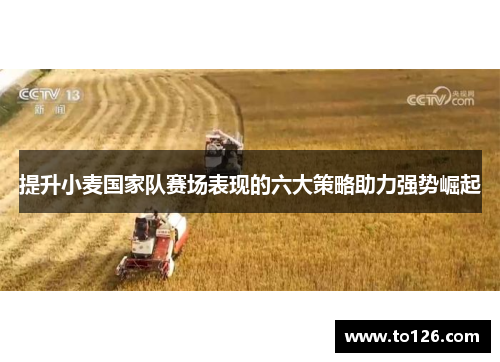 提升小麦国家队赛场表现的六大策略助力强势崛起
